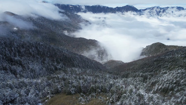 自然山顶雾凇雪景云海航拍视频