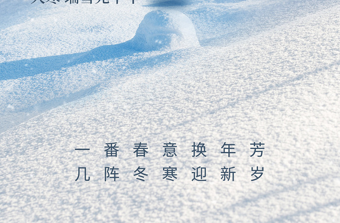 大寒节气创意雪花海报