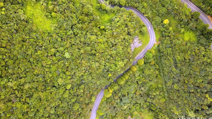 秋日湖北神农架森林草地航拍