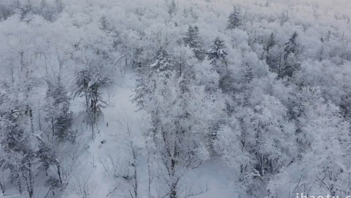 自然唯美雾凇森林下雪风景航拍