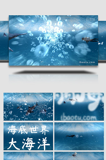 海洋生态海底世界宣传片AE模板图片