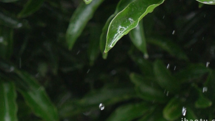 下雨唯美升格慢镜头实拍素材