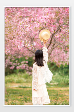 春天樱花美女赏花背影