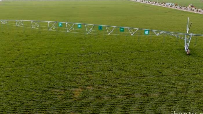 农田小麦新科技灌溉设施空镜实拍