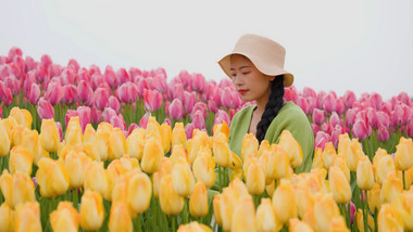 唯美美女郁金香花海捧花赏花实拍