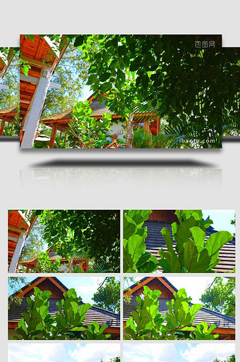 云南西双版纳热带风光绿植建筑图片