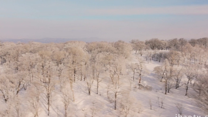 山顶雪景雾凇森林冬天风光航拍