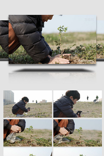 植树节栽小树苗实拍视频图片