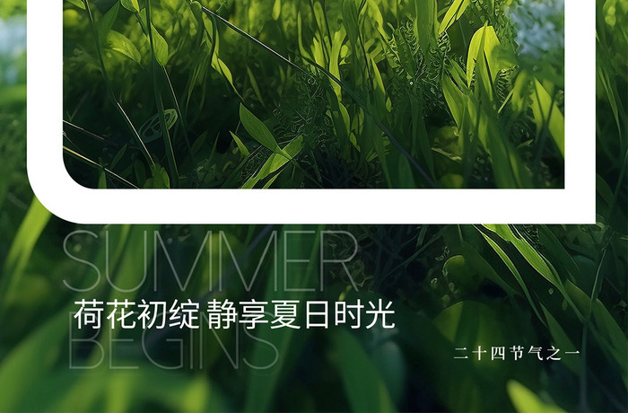 清新立夏摄影图海报