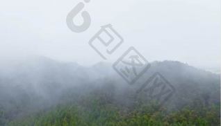 大雾图片-大雾素材免费下载-包图网