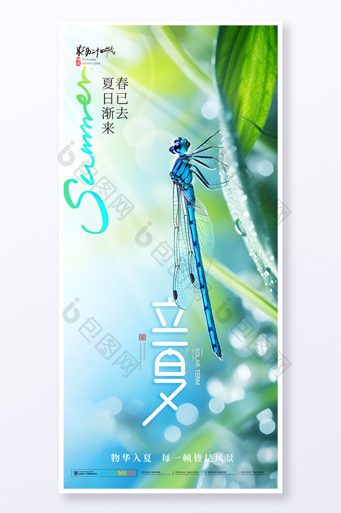 立夏24节气蜻蜓简约海报
