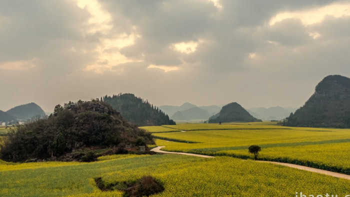 云南罗平油菜花风光延时