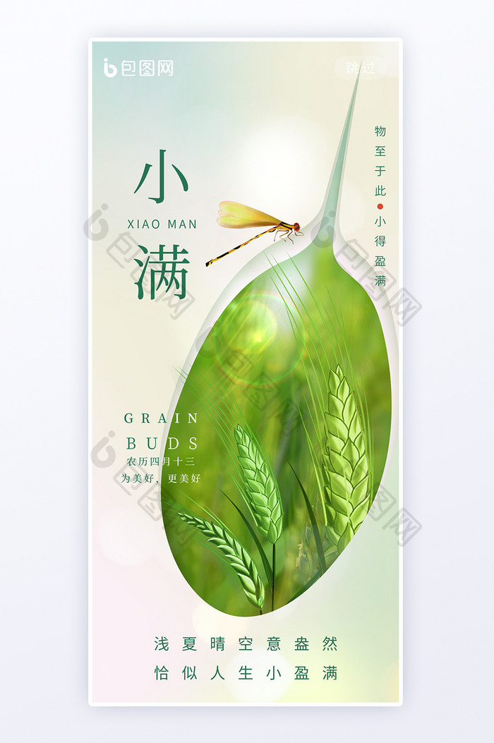 小满24节气简约意境小麦海报