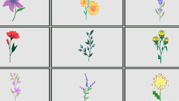 9个扁平化手绘花朵元素AE模板
