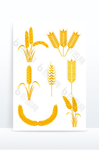 金黄色小麦穗矢量元素图片