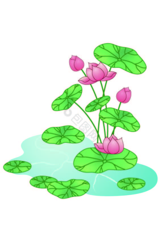 夏季荷花立夏节气