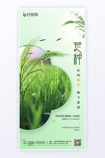 简约创意芒种节气H5页面图片