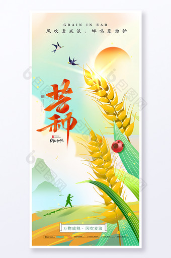 芒种节气麦子插画海报图片
