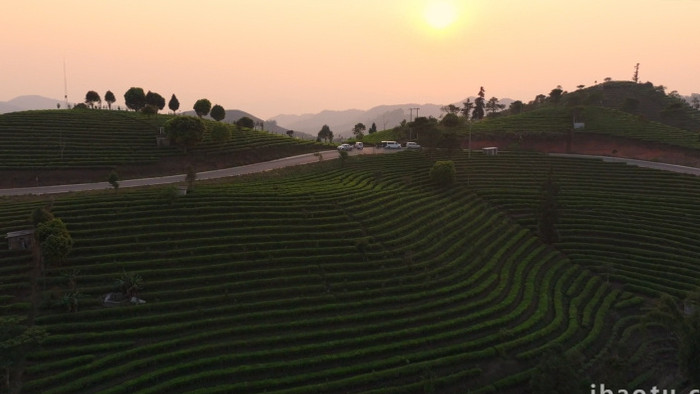 云南普洱茶山风光航拍