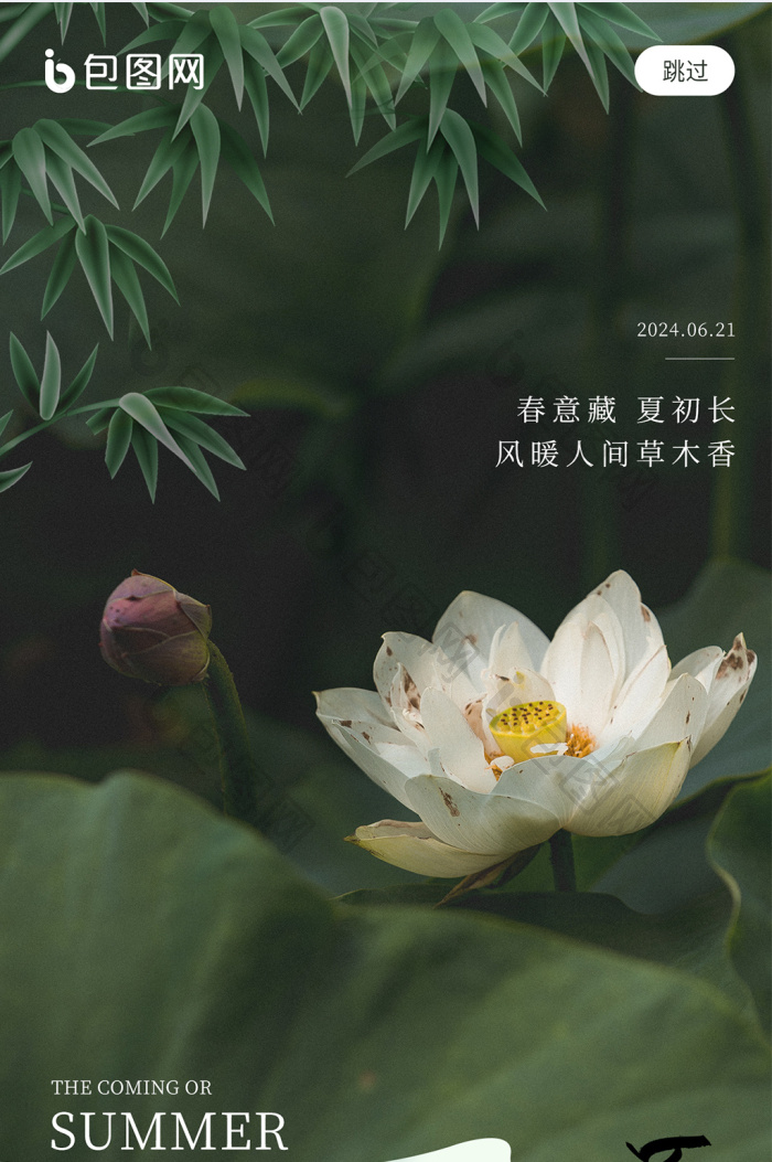 壁纸 花 桌面 700_1053 竖版 竖屏 手机