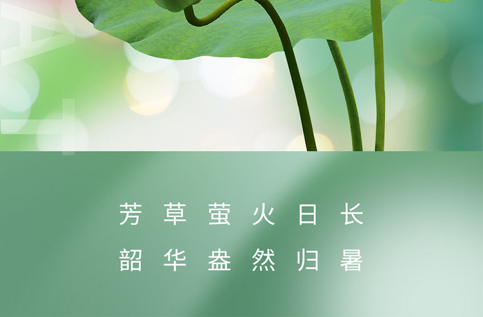 小暑荷花创意二十四节气海报