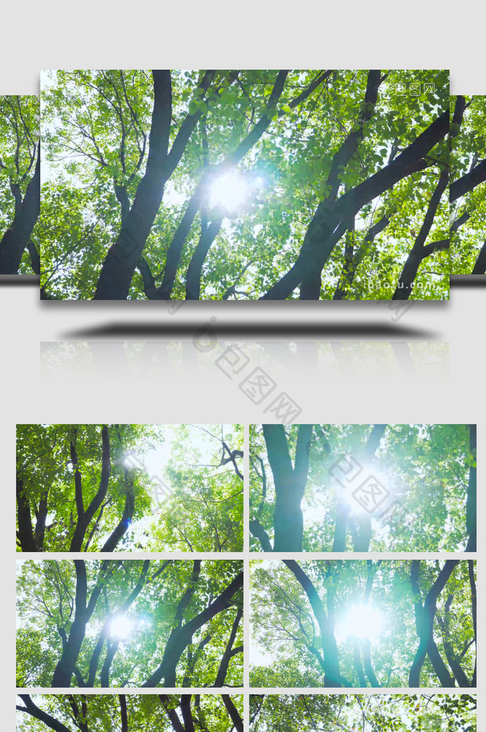 夏日清新空镜树林阳光4K实拍