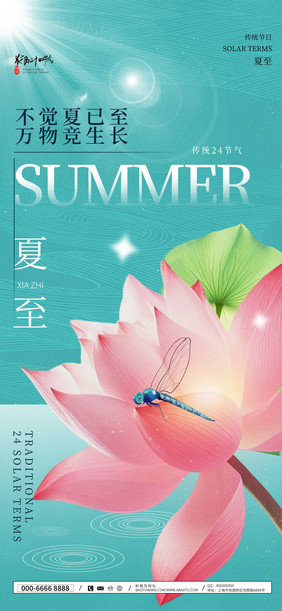 传统二十四节气简约创意夏至海报