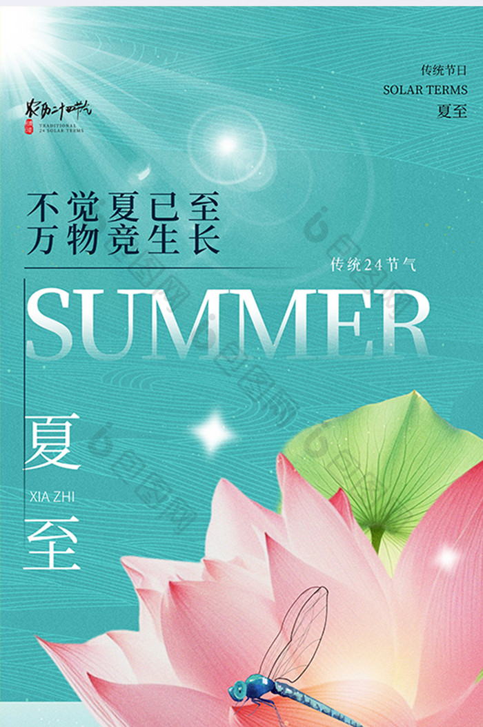 传统二十四节气简约创意夏至海报