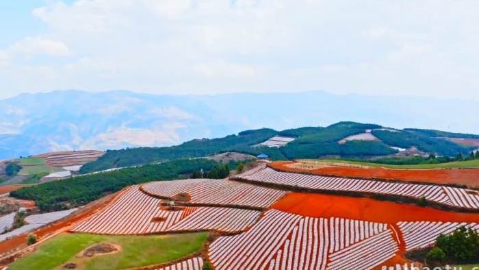 云南山区耕种田地美景4K航拍