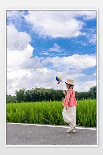 夏天稻田儿童拿着小风车图片