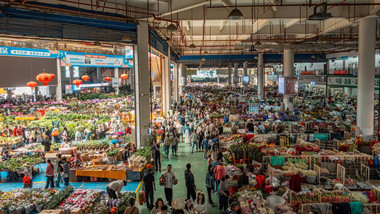 昆明斗南花卉批发市场人流延时