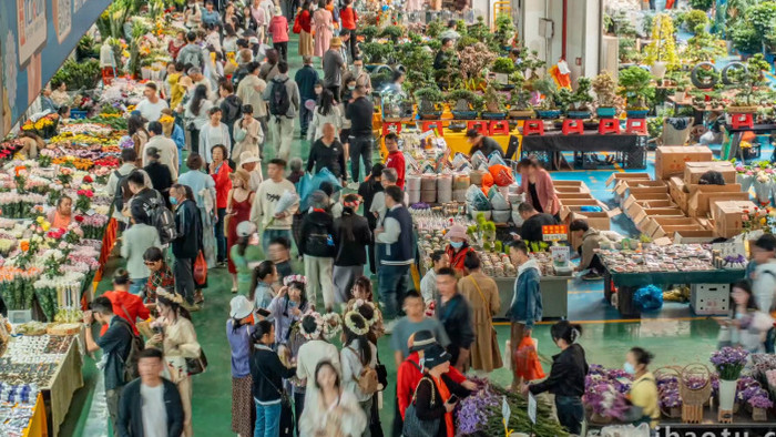 昆明花卉批发市场密集人流延时