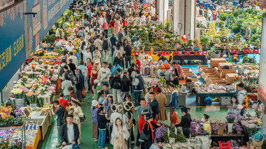 昆明花卉批发市场密集人流延时