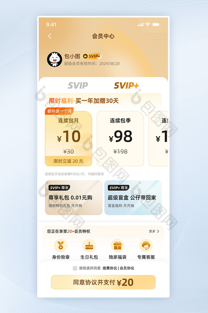 支付页会员套餐移动app界面