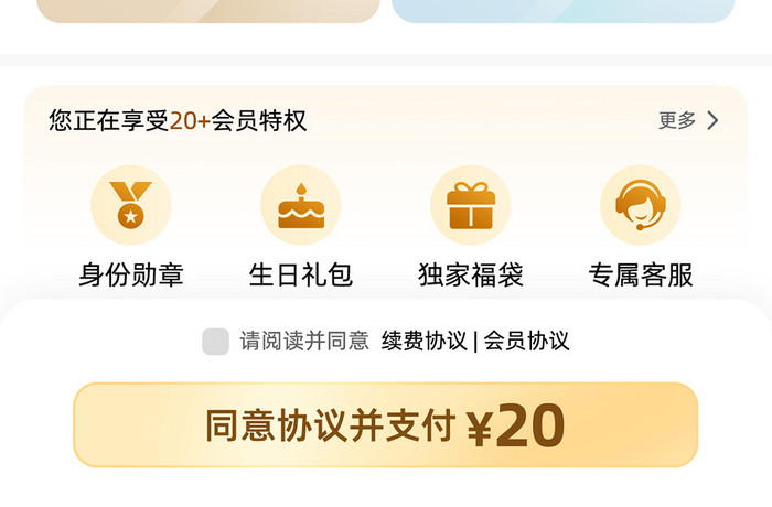 支付页会员套餐移动app界面