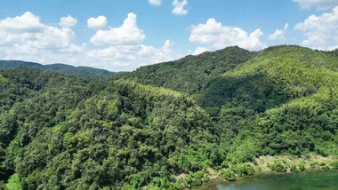 自然风光高大山树林航拍