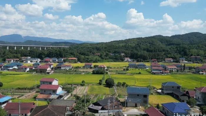 乡村旅游金秋时节美丽农村航拍