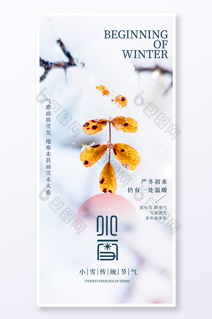 白色传统二十四节气小雪树叶雪景海报