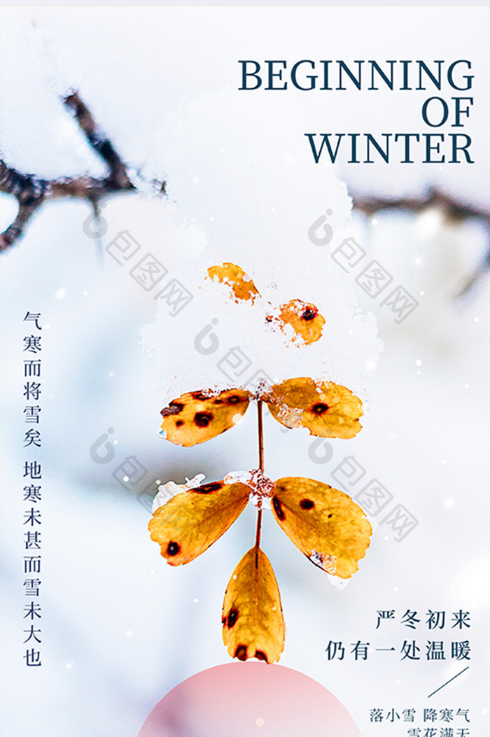 白色传统二十四节气小雪树叶雪景海报