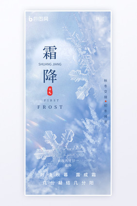 霜降二十四节气冰晶雪花创意海报