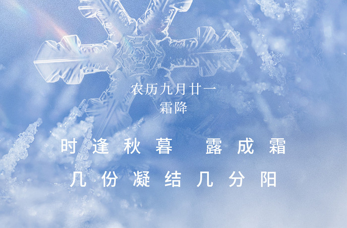 霜降二十四节气冰晶雪花创意海报