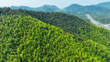 自然旅游风光常州南山竹海风景4K航拍