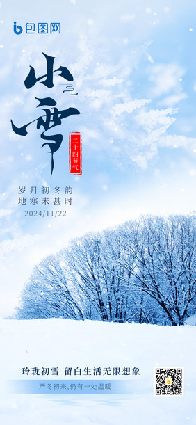 2024年小雪冬季实景海报设计