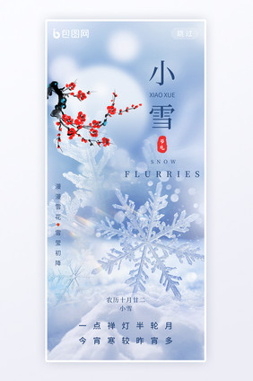 小雪二十四节气简约意境雪花冰晶海报