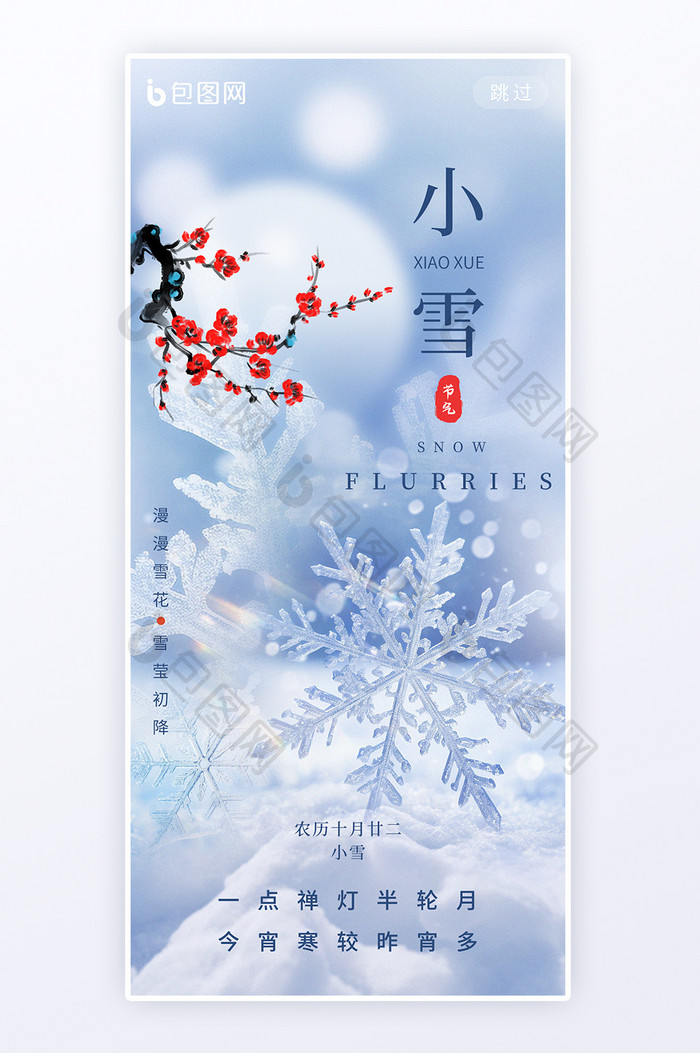 小雪二十四节气简约意境雪花冰晶海报