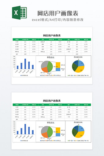 绿色带图表网店用户画像表图片