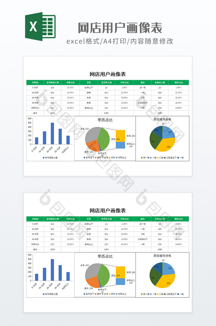 绿色带图表网店用户画像表