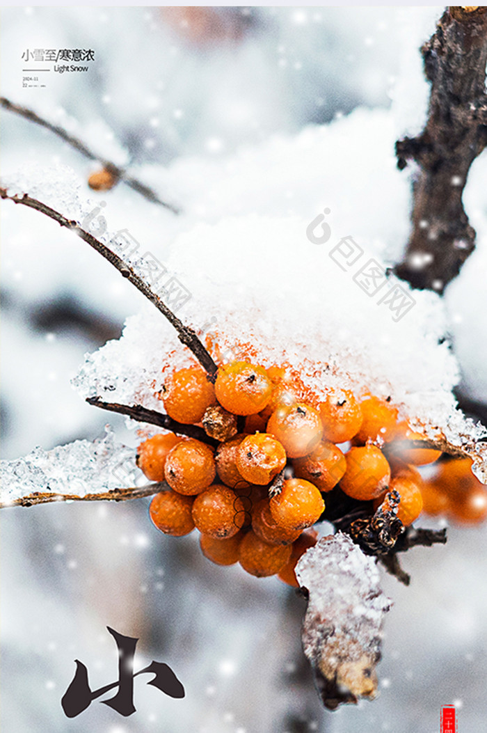 小雪传统大气意境24节气摄影合成图海报