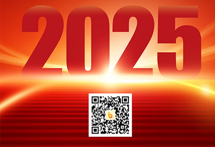 2025蛇年筑梦远航企业年会流程