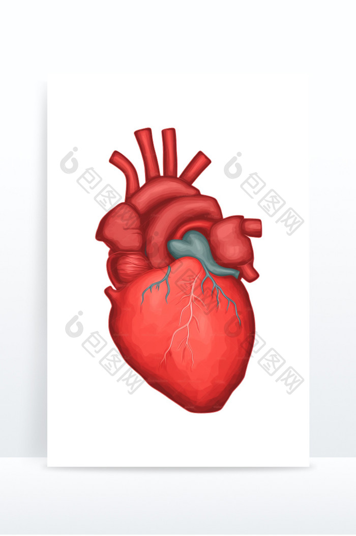 人类心脏平面插图医疗红色免抠元素